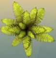 Thumbnail for version as of 13:12, 1 July 2025
