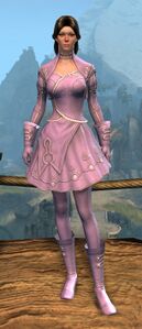 Appearance on light armor.