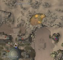 Shadi's Armor map.jpg