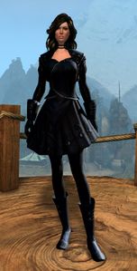 Appearance on light armor.