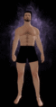 Animation of appearance in passive stance (Click to view)