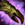 Warden Gloves.png
