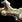 Ancient Bone.png