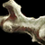 Ancient Bone.png
