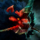 Dark Hunter Nian.png