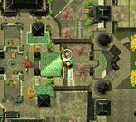Little-foxes-in-the-big-city-32.jpg