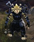 Charr female