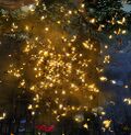 Bees.jpg