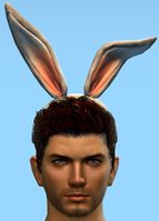 Bunny Ears.jpg