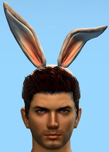 Bunny Ears.jpg