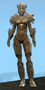 Appearance on heavy armor.