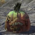 Dormant Choya (red).jpg