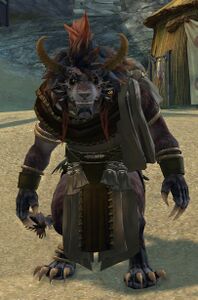 Elder Dorran.jpg