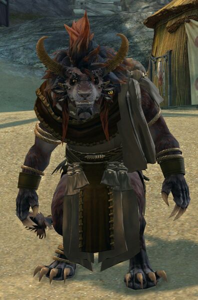 File:Elder Dorran.jpg