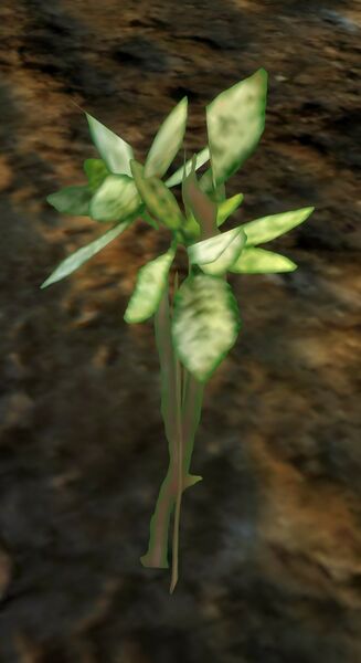 File:Growing Crops.jpg