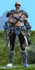 Haunted Aetherblade (male).jpg