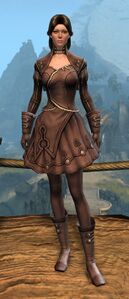 Appearance on light armor.