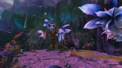 Secret Garden.jpg