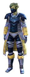 Seeker armor sylvari male front.jpg