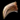 Small Fang.png