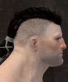 Unique norn male face side 6.jpg