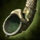 Ancient Boreal Warhorn.png