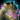 Blossoming Mist Shard Chestguard.png