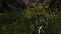 Soldier 2 — Among the grass.