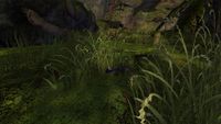 Soldier 2 (Among the grass)