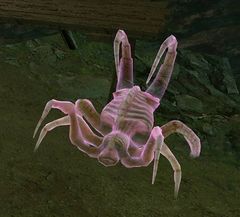 Draithor's Fiend.jpg