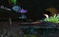 Sylvari variant