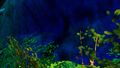Thumbnail for version as of 21:56, 4 May 2017