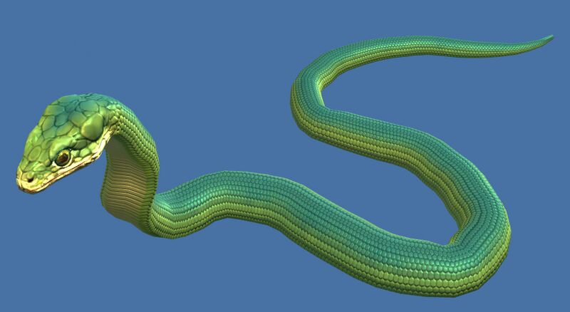 File:Mini Snake.jpg