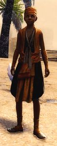 Namir.jpg