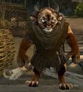 Olmakhan Cub 1.jpg