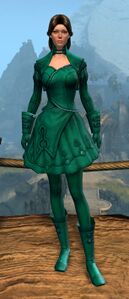 Appearance on light armor.