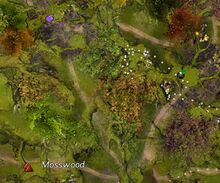 Skyscale 14 map.jpg