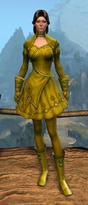 Appearance on light armor.