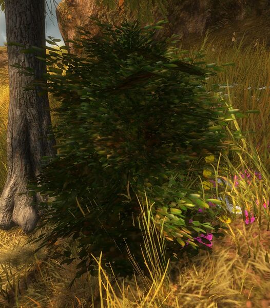 File:Suspicious Bush (Lowland Shore).jpg