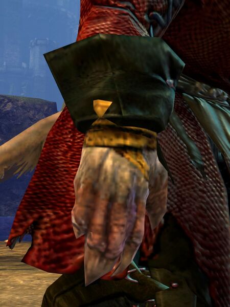 File:Tybalt Leftpaw right paw.jpg