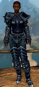Appearance on heavy armor.