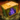 Veteran Branded Minion Loot Box