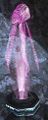 Wind Rider Hologram.jpg