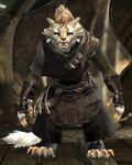 Ash Legion female 3.jpg