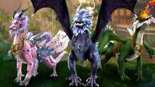 Canthan Noble Skyscale Mounts Pack.jpg