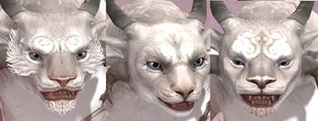 Charr female faces 2.jpg