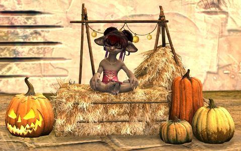 Festive Harvest Chair asura female.jpg