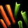 Handful of Bjarni's Rabbit Food.png