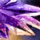 Insubstantial Brand Crystal.png