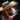 Mini Outlaw Puppy.png